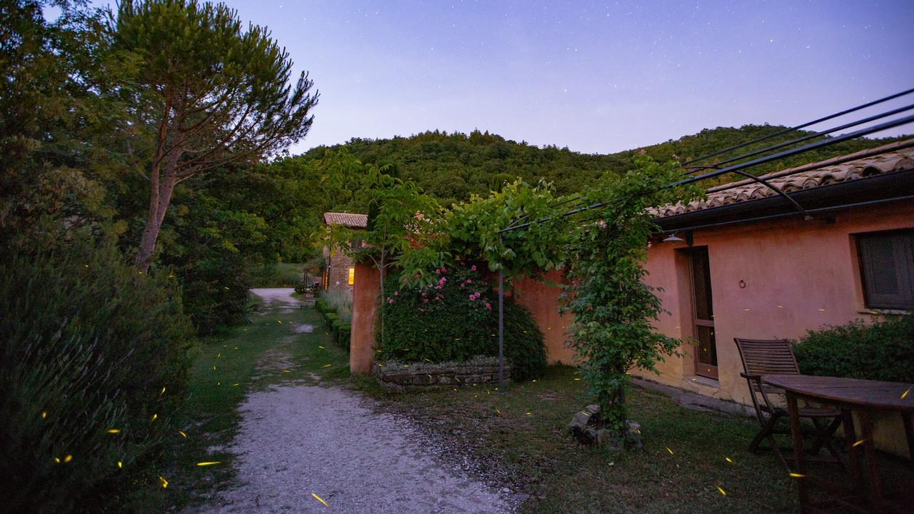 Casa Rosa Guest House Santa Maria Lignano Exterior photo